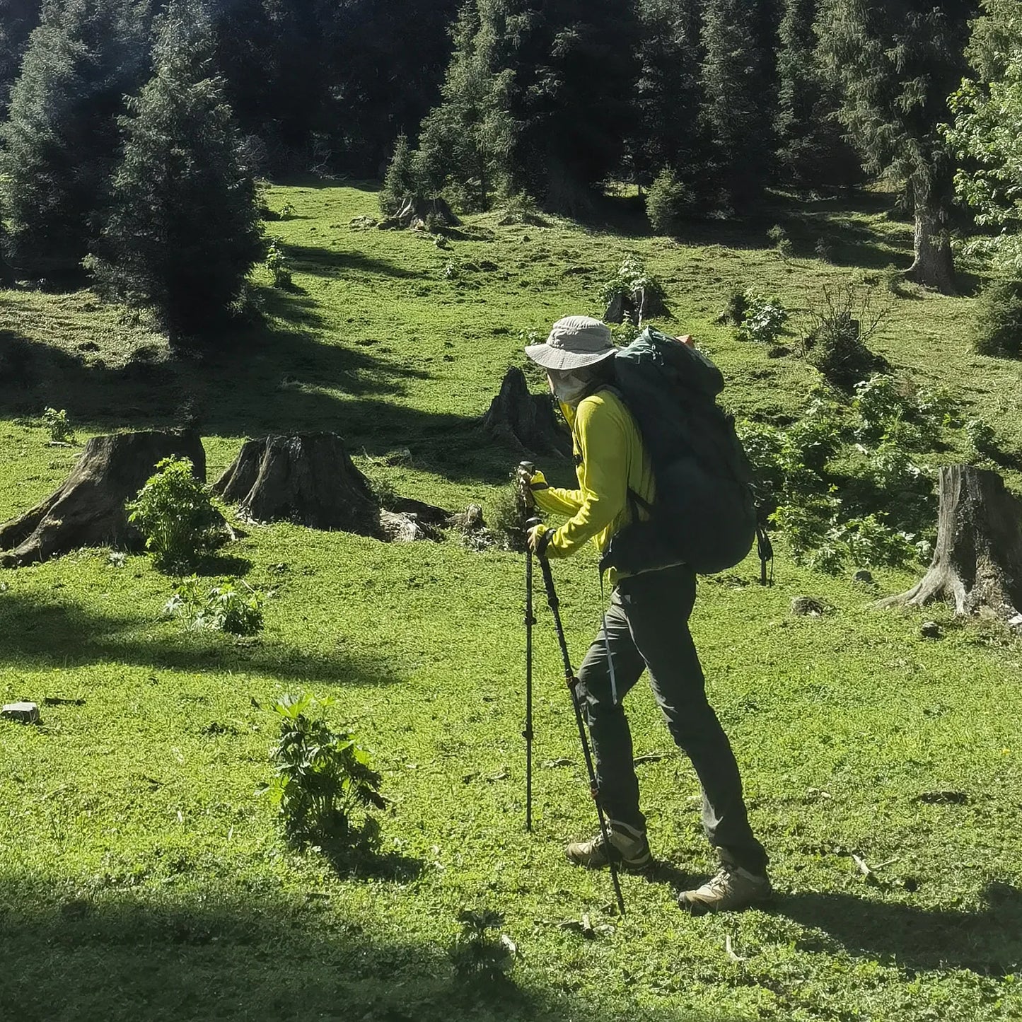 Lighten Up Trekking Poles