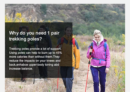 BSWOLF Nordic Ultralight Trekking Poles (2)
