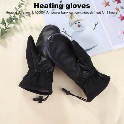 Heated Gloves (USB Chargeable, Waterproof)